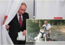 Një milion dollarë për kokën e Putinit ofrohen nga një biznesmen